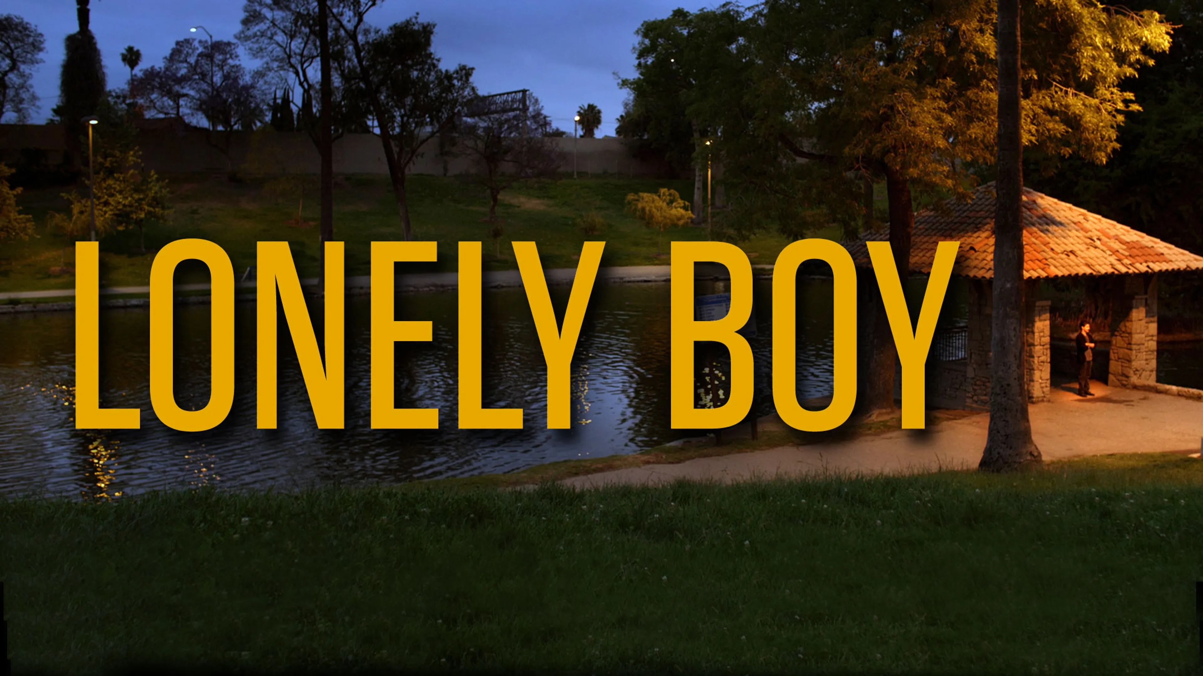 Lonely Boy poster